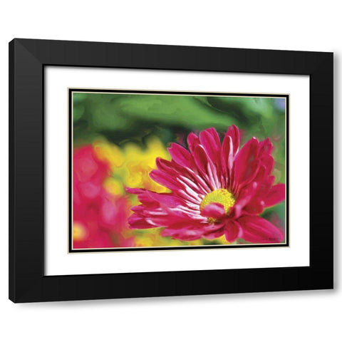 Painterly Flower VI Black Modern Wood Framed Art Print with Double Matting by Henry, Lola