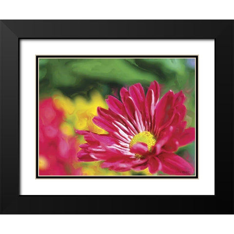 Painterly Flower VI Black Modern Wood Framed Art Print with Double Matting by Henry, Lola