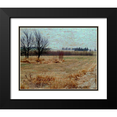 Fields I Black Modern Wood Framed Art Print with Double Matting by Harrington, Danielle