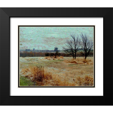 Fields II Black Modern Wood Framed Art Print with Double Matting by Harrington, Danielle