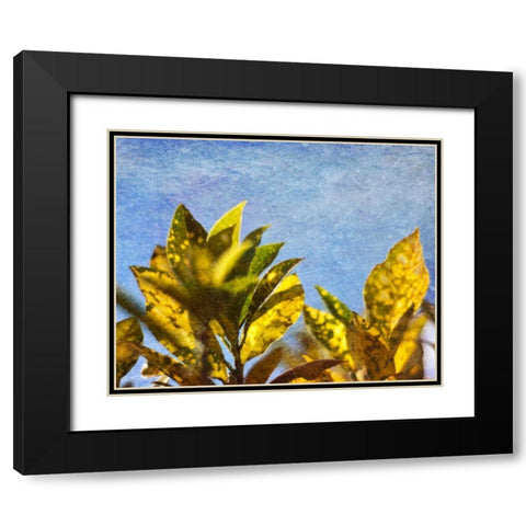 Sun Toward I Black Modern Wood Framed Art Print with Double Matting by Robinson, Emily