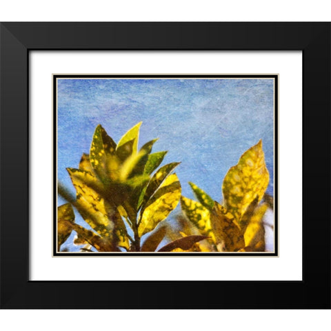 Sun Toward I Black Modern Wood Framed Art Print with Double Matting by Robinson, Emily
