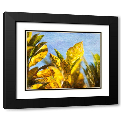 Sun Toward II Black Modern Wood Framed Art Print with Double Matting by Robinson, Emily