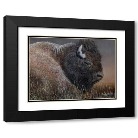American Icon- Bison Black Modern Wood Framed Art Print with Double Matting by Daniel, Kevin