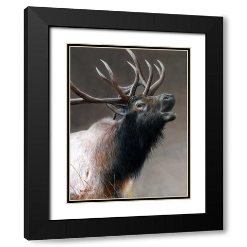 American Icon - Elk Black Modern Wood Framed Art Print with Double Matting by Daniel, Kevin