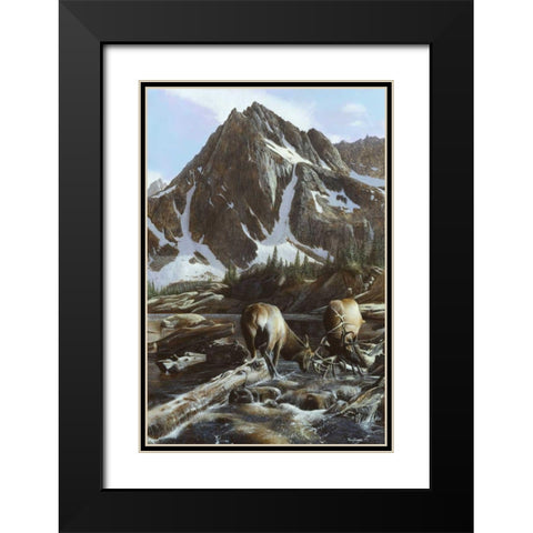 Mountainside Elk II Black Modern Wood Framed Art Print with Double Matting by Daniel, Kevin