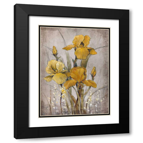 Golden Irises II Black Modern Wood Framed Art Print with Double Matting by OToole, Tim