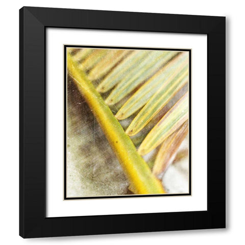 Frond Study II Black Modern Wood Framed Art Print with Double Matting by Robinson, Emily