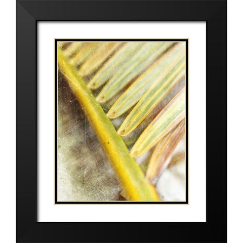 Frond Study II Black Modern Wood Framed Art Print with Double Matting by Robinson, Emily