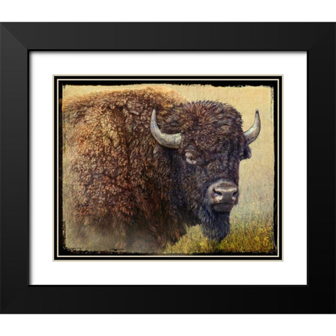Bison Portrait I Black Modern Wood Framed Art Print with Double Matting by Vest, Chris