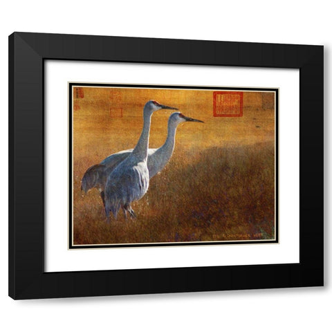 Walking Cranes Black Modern Wood Framed Art Print with Double Matting by Vest, Chris
