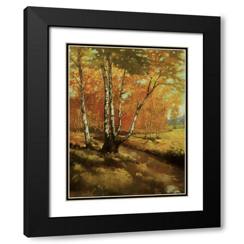 Woodland Stream I Black Modern Wood Framed Art Print with Double Matting by Reynolds, Graham