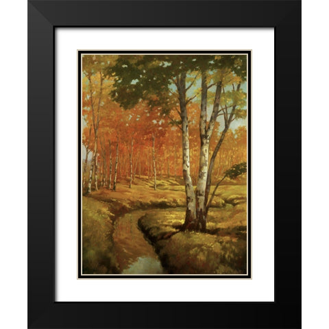 Woodland Stream II Black Modern Wood Framed Art Print with Double Matting by Reynolds, Graham