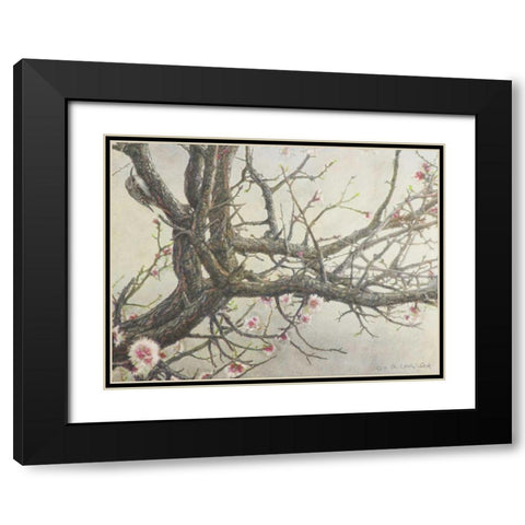 Apricot Creeper Black Modern Wood Framed Art Print with Double Matting by Vest, Chris