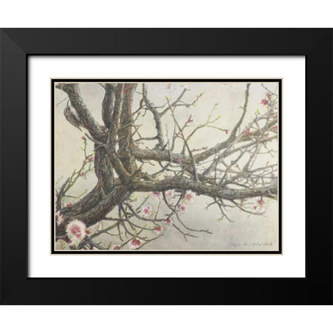 Apricot Creeper Black Modern Wood Framed Art Print with Double Matting by Vest, Chris