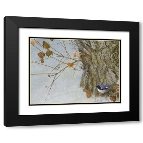 Late Snow Warbler Black Modern Wood Framed Art Print with Double Matting by Vest, Chris