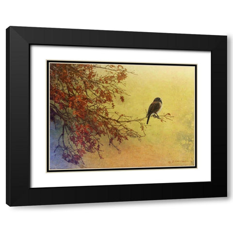 Snow Oak Junco Black Modern Wood Framed Art Print with Double Matting by Vest, Chris