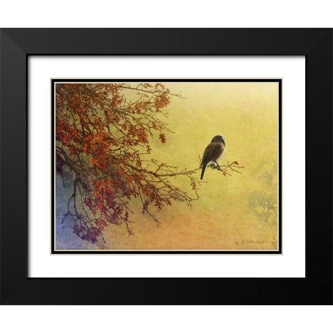 Snow Oak Junco Black Modern Wood Framed Art Print with Double Matting by Vest, Chris