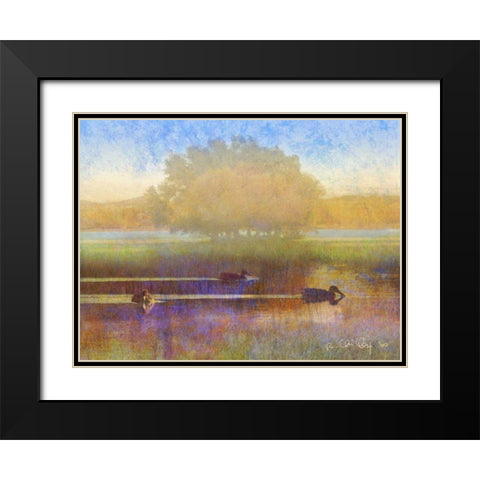 Ducks in Soft Mist Black Modern Wood Framed Art Print with Double Matting by Vest, Chris