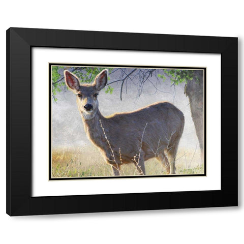 Spring Doe Black Modern Wood Framed Art Print with Double Matting by Vest, Chris