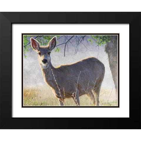 Spring Doe Black Modern Wood Framed Art Print with Double Matting by Vest, Chris