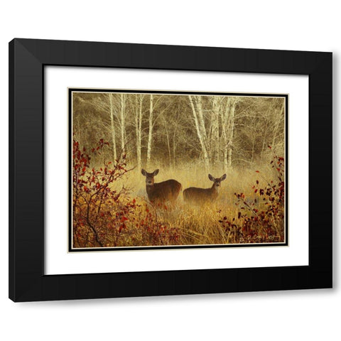 Foggy Deer Black Modern Wood Framed Art Print with Double Matting by Vest, Chris