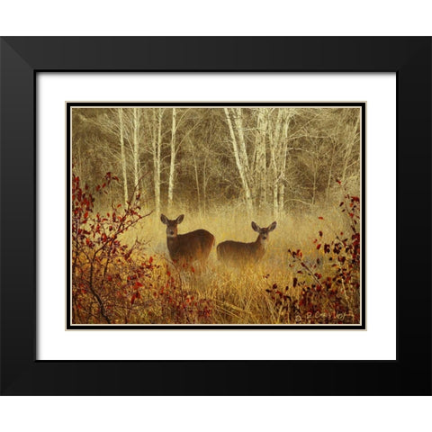 Foggy Deer Black Modern Wood Framed Art Print with Double Matting by Vest, Chris