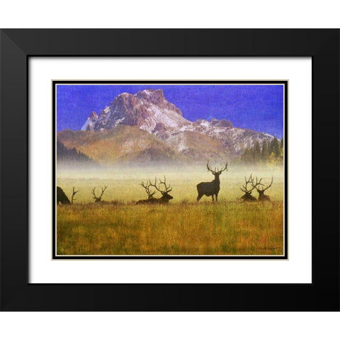 Bull Elk Black Modern Wood Framed Art Print with Double Matting by Vest, Chris