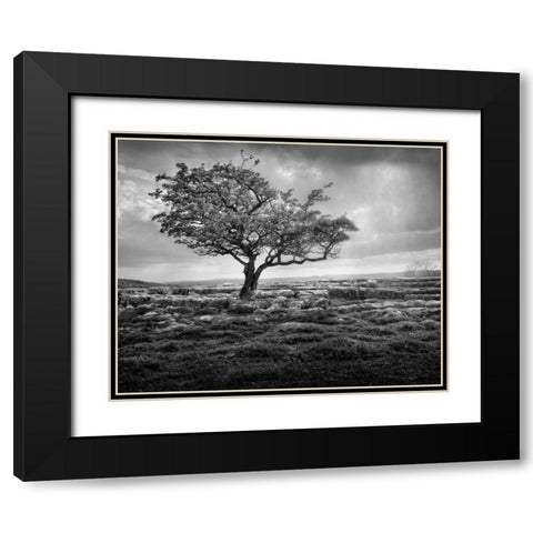 Elegance Black Modern Wood Framed Art Print with Double Matting by Henson, Martin