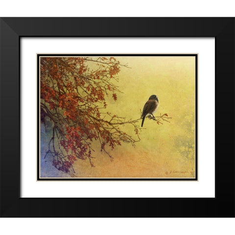 Custom Snow Oak Junco (ASH) Black Modern Wood Framed Art Print with Double Matting by Vest, Chris