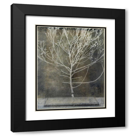 Desert Form IV Black Modern Wood Framed Art Print with Double Matting by Ray, Elena