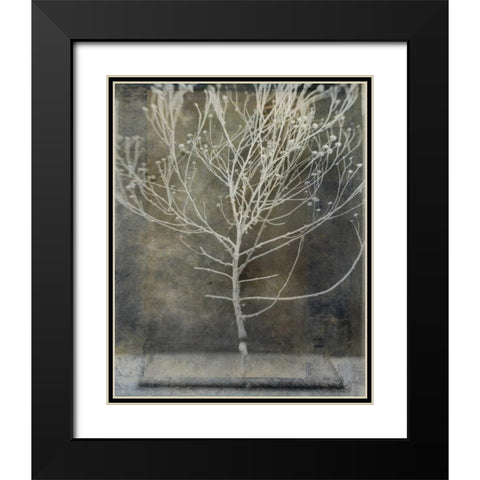 Desert Form IV Black Modern Wood Framed Art Print with Double Matting by Ray, Elena