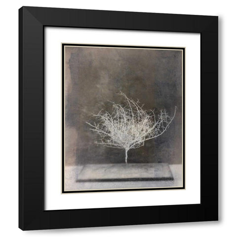 Desert Form VI Black Modern Wood Framed Art Print with Double Matting by Ray, Elena