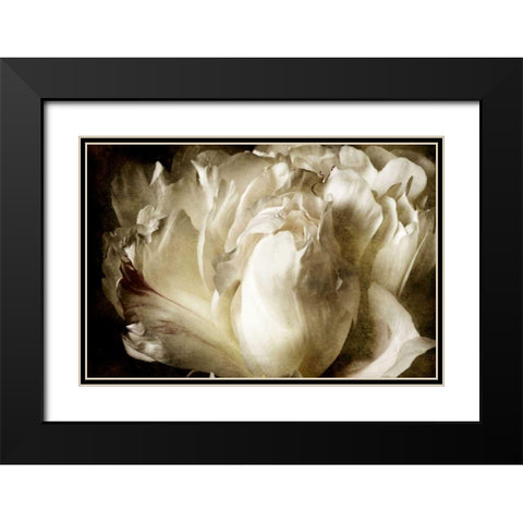 Elegant Peony I Black Modern Wood Framed Art Print with Double Matting by Zalewski, Christine