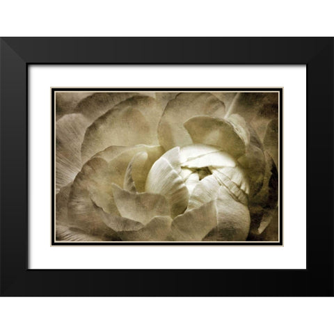 Elegant Peony II Black Modern Wood Framed Art Print with Double Matting by Zalewski, Christine