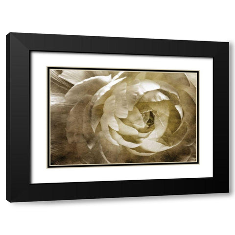 Elegant Peony III Black Modern Wood Framed Art Print with Double Matting by Zalewski, Christine