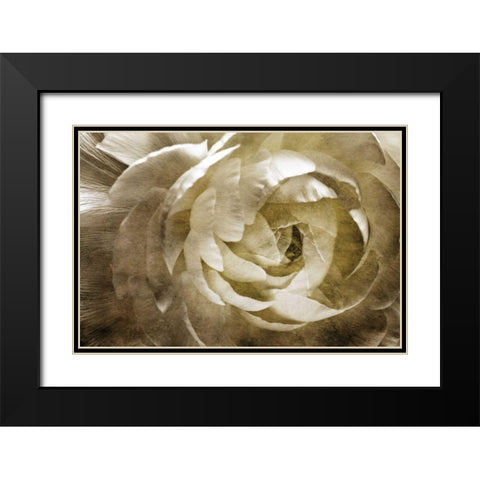 Elegant Peony III Black Modern Wood Framed Art Print with Double Matting by Zalewski, Christine