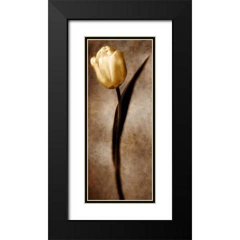 Damask Tulip II Black Modern Wood Framed Art Print with Double Matting by Zalewski, Christine