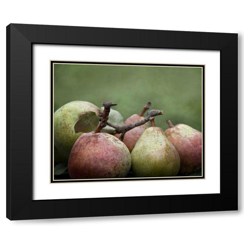 Comice Pears II Black Modern Wood Framed Art Print with Double Matting by Perry, Rachel