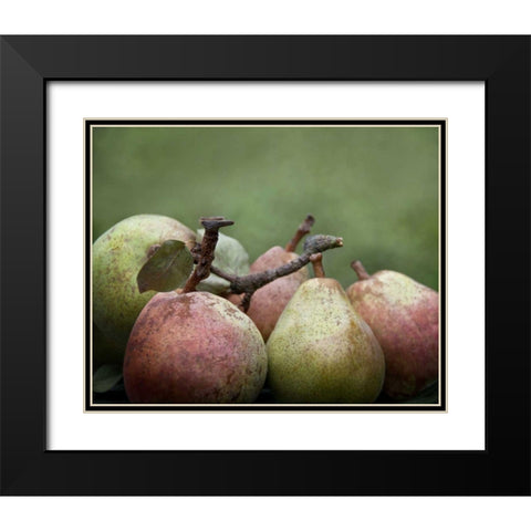 Comice Pears II Black Modern Wood Framed Art Print with Double Matting by Perry, Rachel