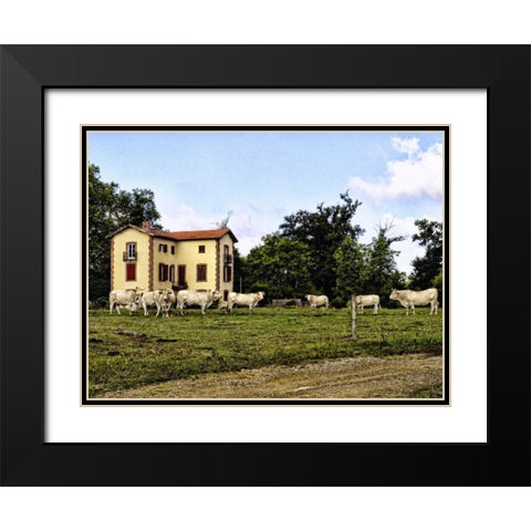 Cow Palace Black Modern Wood Framed Art Print with Double Matting by Chester, Colby