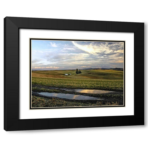 Reflections Black Modern Wood Framed Art Print with Double Matting by Chester, Colby