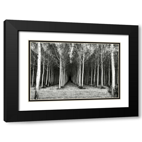 Alley At Lac Duby Black Modern Wood Framed Art Print with Double Matting by Chester, Colby