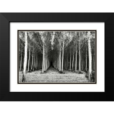 Alley At Lac Duby Black Modern Wood Framed Art Print with Double Matting by Chester, Colby