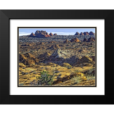 View from Coyote Buttes Black Modern Wood Framed Art Print with Double Matting by Chester, Colby