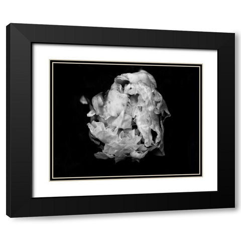 Poetry II Black Modern Wood Framed Art Print with Double Matting by Ling, Tang
