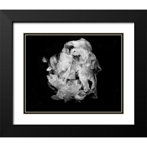 Poetry II Black Modern Wood Framed Art Print with Double Matting by Ling, Tang