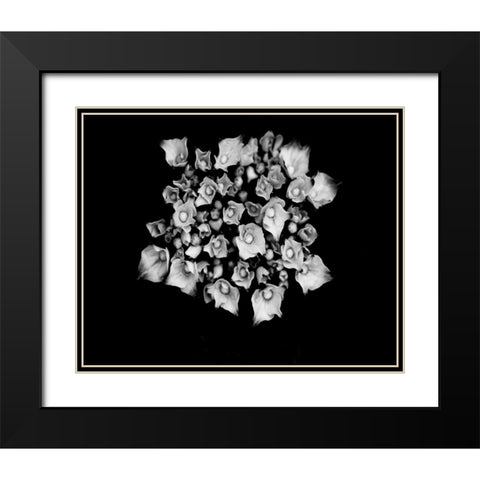 Poetry III Black Modern Wood Framed Art Print with Double Matting by Ling, Tang