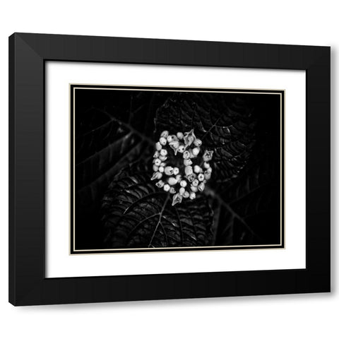 Poetry IV Black Modern Wood Framed Art Print with Double Matting by Ling, Tang