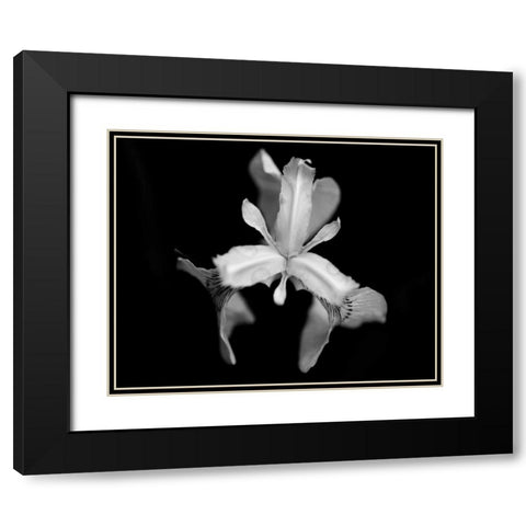 Poetry V Black Modern Wood Framed Art Print with Double Matting by Ling, Tang